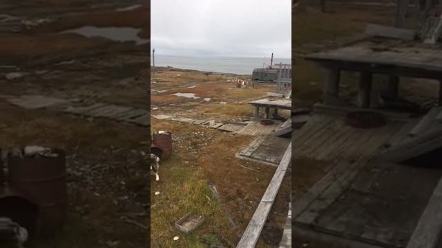Пёс Лохматый прогоняет белого медведя. Блок Полярника смотреть онлайн