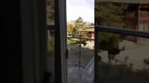 парк-отель Джубга 30.12.23 - 01.01.24