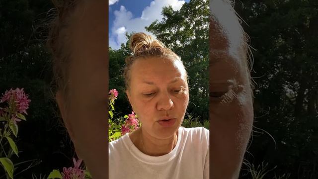 Последние новости! Где Влад? Влад Бахов смотреть онлайн