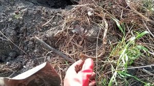 Удаляем хмель легко, но долго