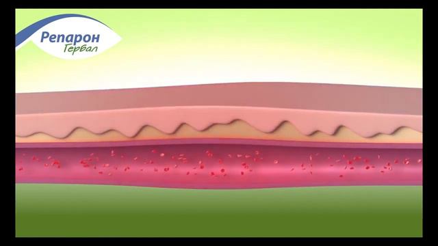 Метро-ТВ. Рекламный материал Репарон Гербал смотреть онлайн