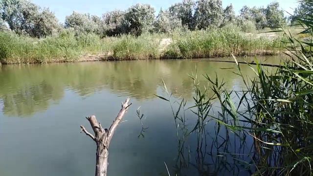 Рыбалка в Кучугурах...