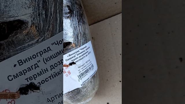 "Отзыв Агромаркет (відгук)" #Agro-Market™ смотреть онлайн