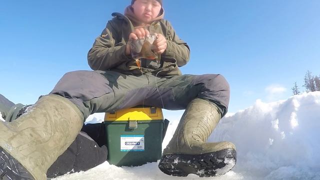 Лучший ЖОР щуки и окуня! смотреть онлайн