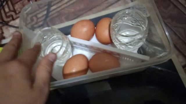 Как сделать инкубатор дома смотреть онлайн