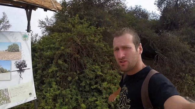 61 Посо-Альмонте, Чили. Pozo Almonte, Chile. Серия 61. "World for Love". смотреть онлайн