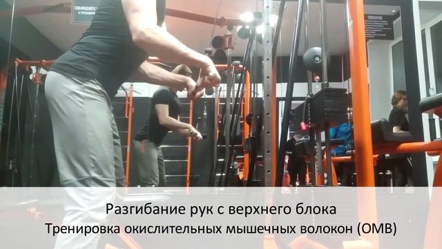 Разгибание рук с верхнего блока ОМВ. Техника выполнения упражнений смотреть онлайн