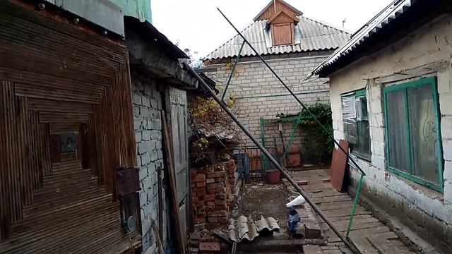 Срочно! Голуби ищут новых хозяев. смотреть онлайн