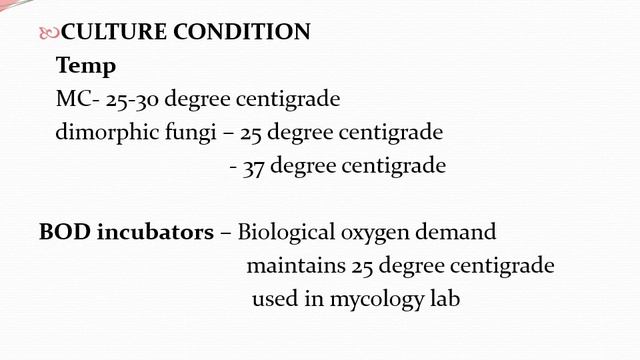 Microbiology lecture|Laboratory Diagnosis of fungal diseases|Fungal Identification|Mycology смотреть онлайн