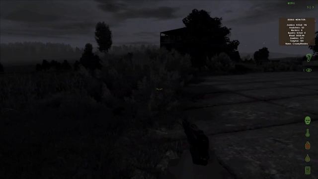 Day Z - Arma 2 Mod - Stary Dead Sobor смотреть онлайн