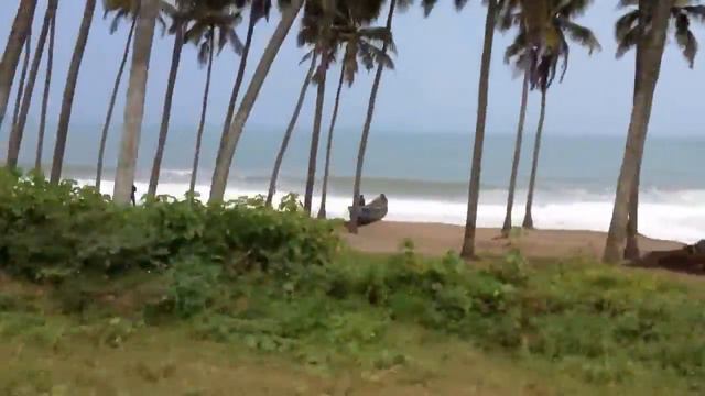 Palm Beach смотреть онлайн