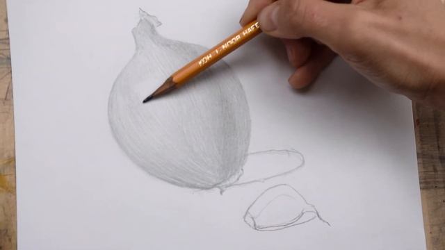 КАК НАРИСОВАТЬ ЛУК И ЧЕСНОК КАРАНДАШОМ 2Н - 2В смотреть онлайн