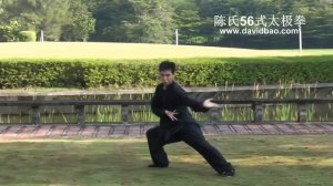 56 форм тайцзицюань. Стиль Чень.
