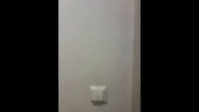 Коммерческое помещение в центре СПб смотреть онлайн