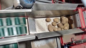 Упаковка картофеля в сетку по 2,5кг