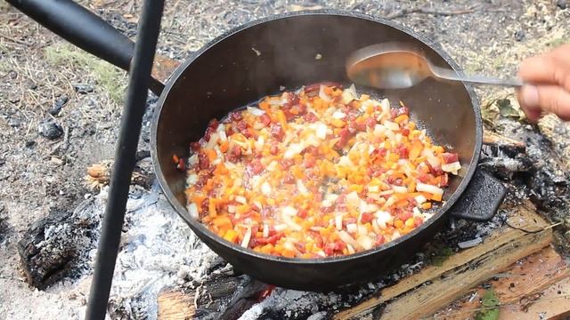 Домашние Животные и Их Уход