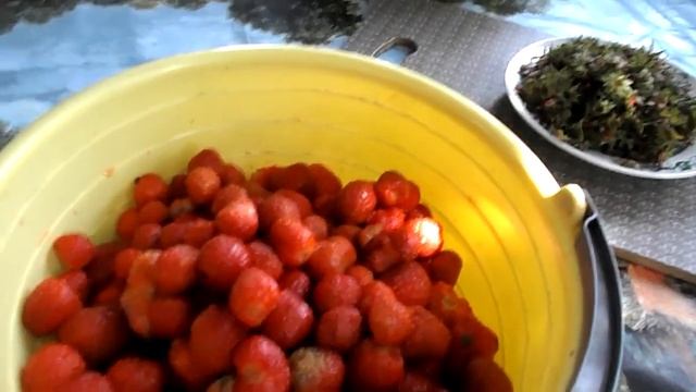 КЛУБНИЧНАЯ ПОРА смотреть онлайн