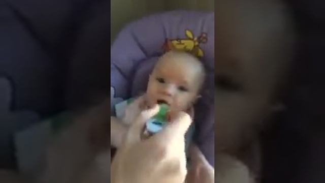 Первый кабачок