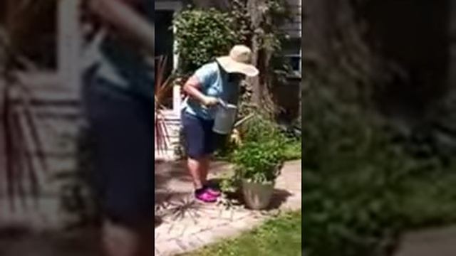 113. Thirsty Plants! смотреть онлайн