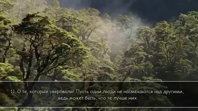 Ибрахим аль-Заят. Сура 49 «аль-Худжурат» смотреть онлайн