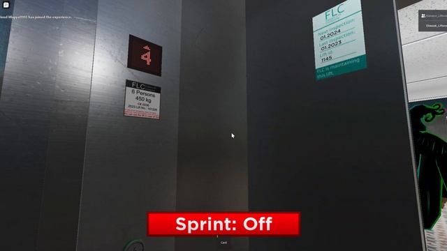 Лифт FLC 2023 г.в. Q=630 кг., V=1м/с смотреть онлайн