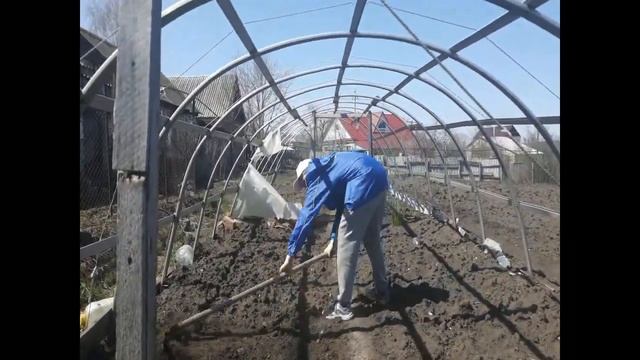 Флешмоб МирТрудЛДПР -2