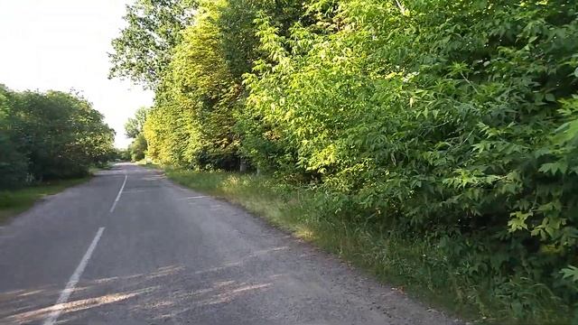 Особенности содержания коровы. Когда ее крыть и возможный повтор пареза смотреть онлайн