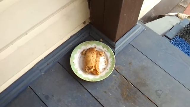 кошачья диета смотреть онлайн