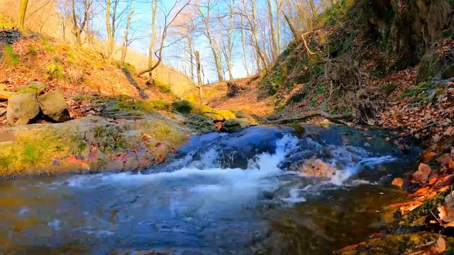 1 HOUR BUDDHA FLUTE MUSIC