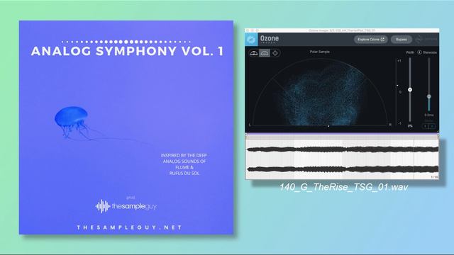 Flume Sample Pack - ANALOG SYMPHONY by The Sample Guy смотреть онлайн