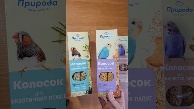 Сухие корма для попугаев смотреть онлайн