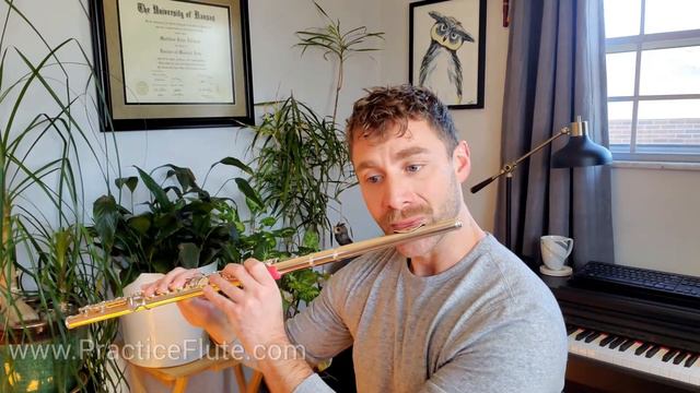 Drouet 25 Etudes, #20 in d-sharp minor смотреть онлайн