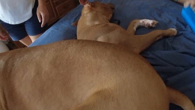 The Finger Game: Not really a good way to trim your nails смотреть онлайн