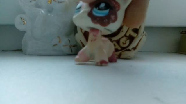 Клип мои стихи твоя гитара смотреть онлайн