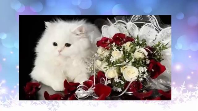 С днем рождения! смотреть онлайн