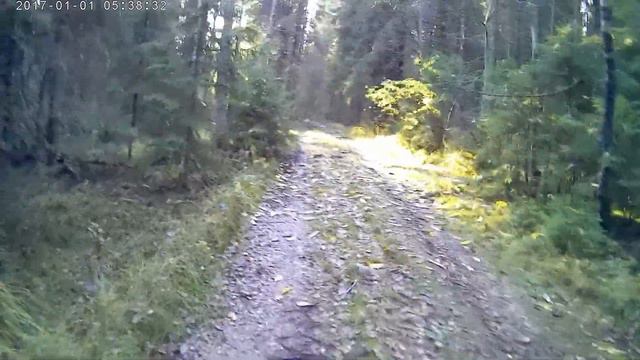 Hirvisaari избушка в лесу смотреть онлайн