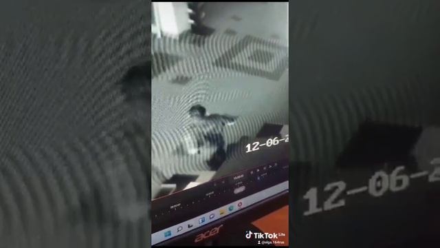 ниндзя хранник))) смотреть онлайн