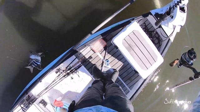 #1 Shrimp Rig To Get Instant Tight Lines ANYWHERE! смотреть онлайн