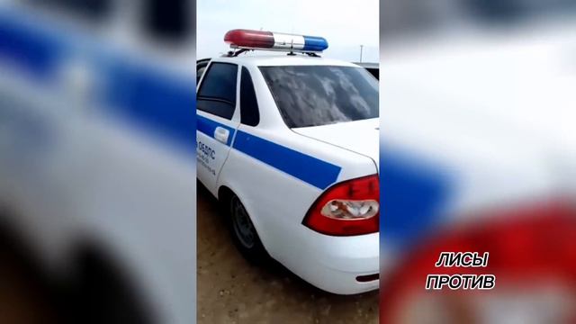 ДПСник Калмыкии в хамстве перещеголял абсолютно всех! смотреть онлайн