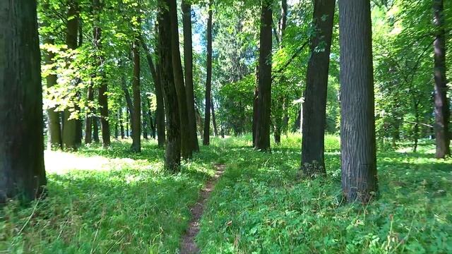 В парке усадьбы Тишково. смотреть онлайн