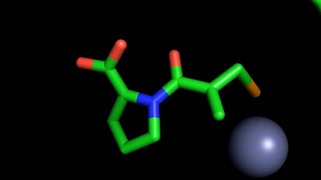 CHEM 444 - Captopril bound to Angiotensin-I Converting Enzyme смотреть онлайн