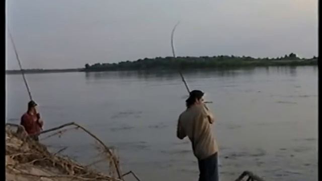 Нижняя Волга. Фантастически бешеный клев жереха. смотреть онлайн