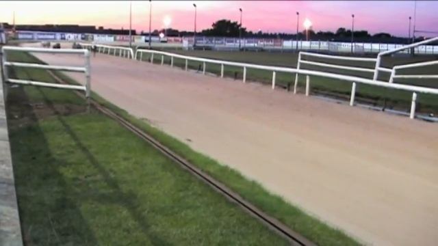 Greyhound dog racing - Track race смотреть онлайн