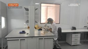 Александр Богомаз посетил фармацевтическую лабораторию в Почепском районе. Брянская губерния.