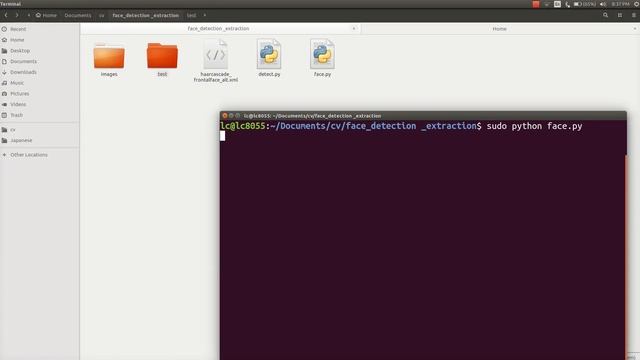 Face Extraction(crop) from detected people смотреть онлайн