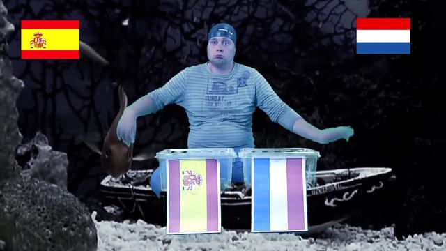 The real octopus Oracle Paul - WC FINAL смотреть онлайн