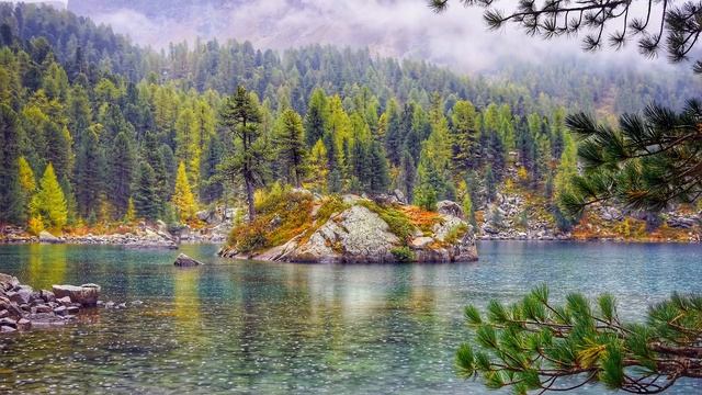 Шум дождя, Звуки леса, Пение птиц, Музыка для сна, Мелодия дождя смотреть онлайн