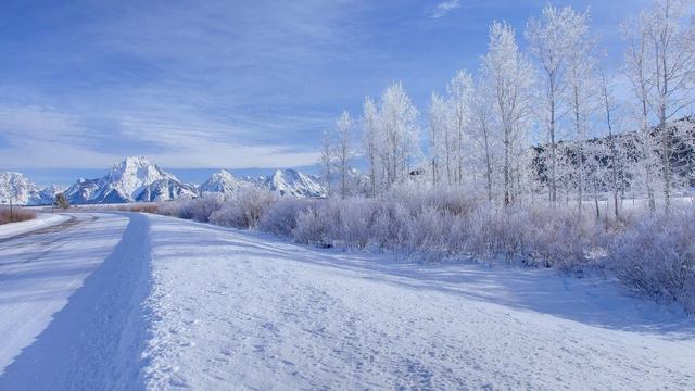 Consecrated Snowfield- Yoshimi Kudo [Elden Ring OST] смотреть онлайн