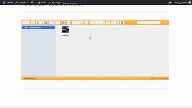 WordPress File Explorer Plugin смотреть онлайн