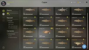 Усач обыкновенный - где поймать? Озеро Медвежье. Русская Рыбалка 4/Russian Fishing 4